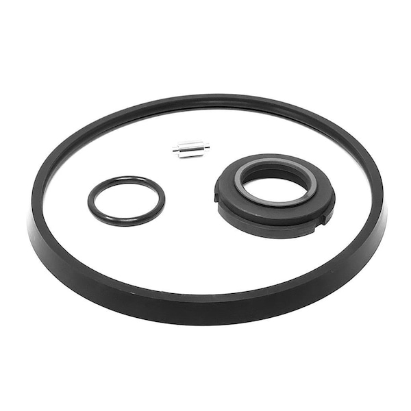 C216-1SFY Pump Service Kit, #1 FKM; Replaces Alfa Laval Part# 481081